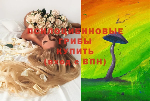 скорость Арсеньев