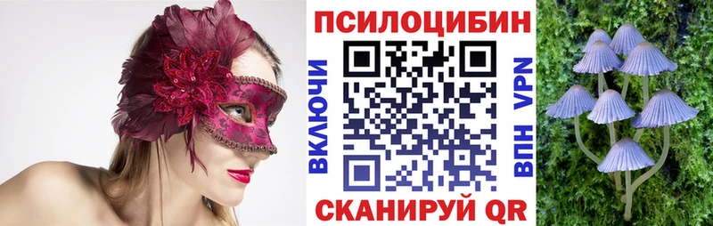 omg рабочий сайт  Салаир  Галлюциногенные грибы мухоморы 