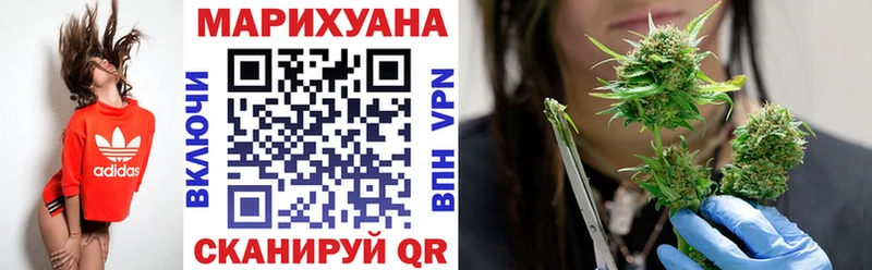 Конопля планчик Салаир